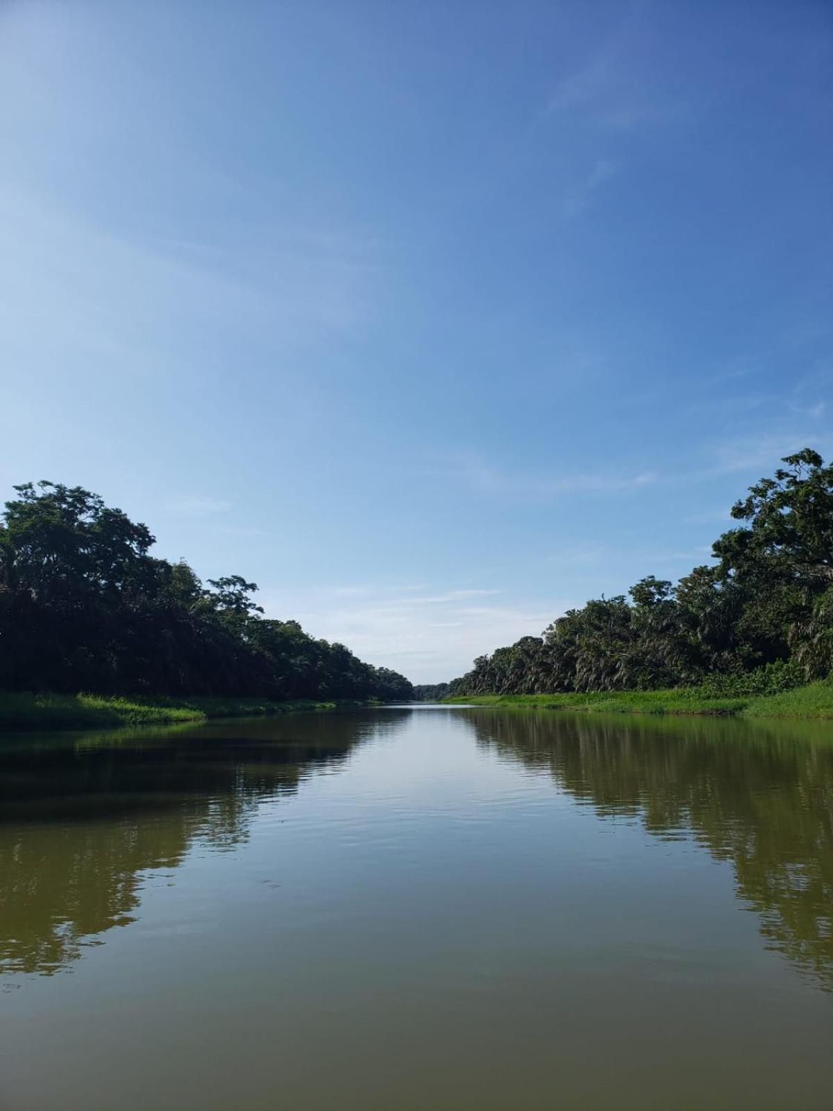 Alma Del Bosque Hotel Tortuguero Exteriör bild